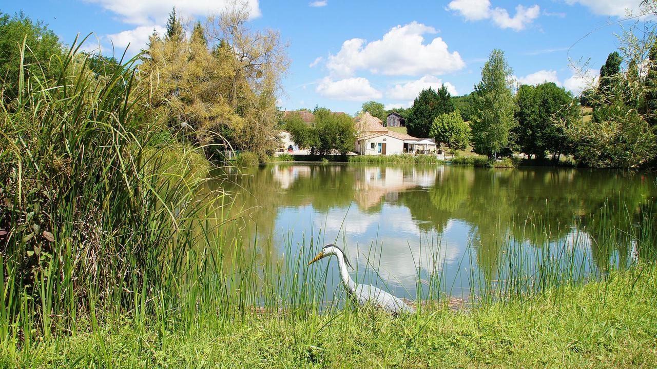 Le Domaine De L'Etang De Sandanet Issac Екстер'єр фото