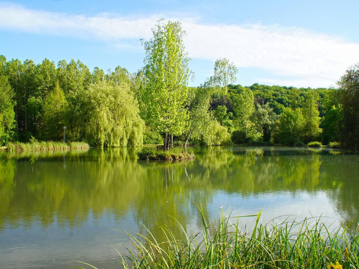 Le Domaine De L'Etang De Sandanet Issac Екстер'єр фото